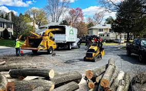 Best Lawn Drainage Solutions  in Marshfield, WI