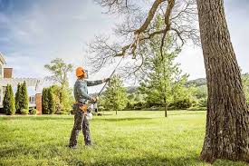 Mulching Services in Marshfield, WI