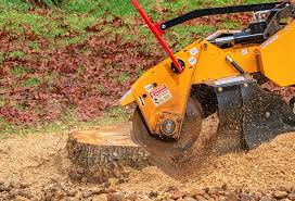 How Our Tree Care Process Works  in  Marshfield, WI